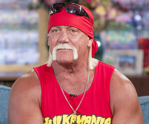 Hulk Hogan - images