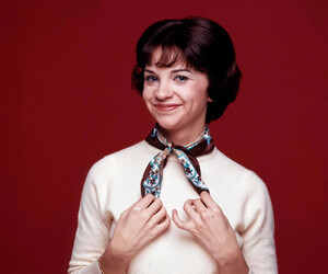 Cindy Williams - images