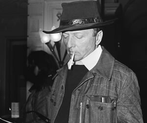 Harold Robbins - images