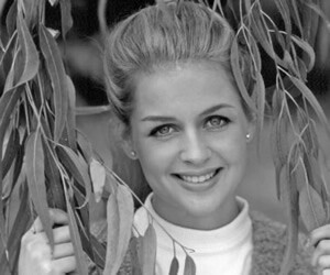 Kristin Nelson - images