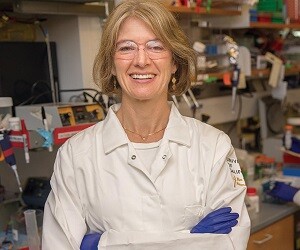 Jennifer Doudna - images