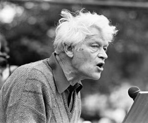 E. P. Thompson - images