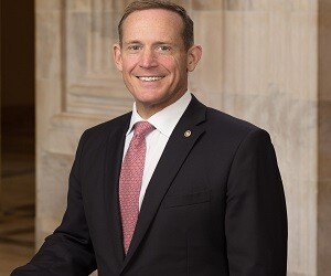 Ted Budd - images