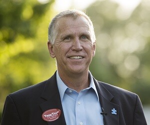 Thom Tillis - images