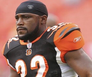 Rudi Johnson - images