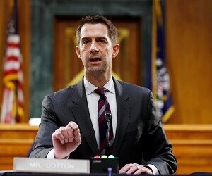 Tom Cotton - images