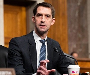Tom Cotton