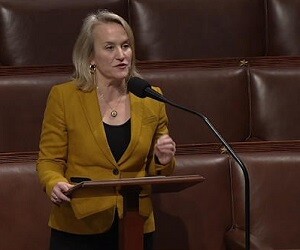 Nikki Budzinski - images