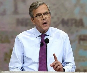 Jeb Bush - images