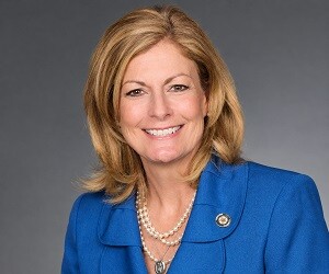 Kim David - images