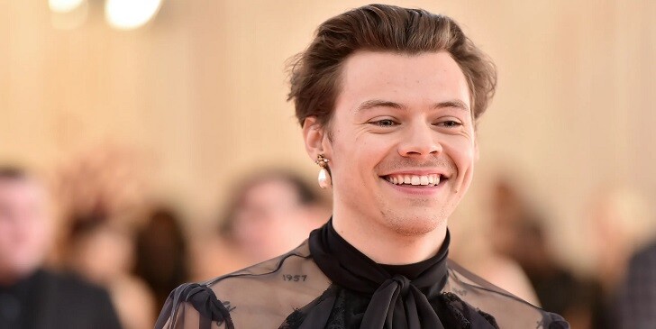Which Harry Styles Song Are You? - Harry Styles Song Quiz