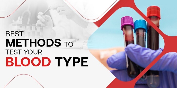 Blood Types Quiz: Do You Really Know Yours?