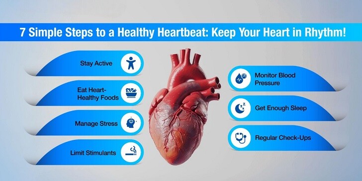 Heartbeat & Circulation Quiz: Can You Keep Up With the Beat?