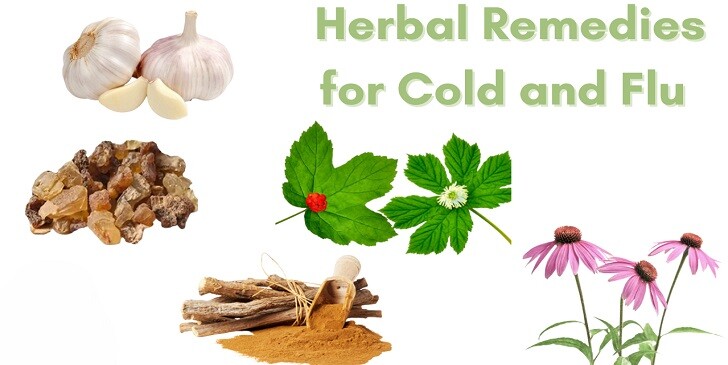 Herbal Remedy Quiz: Fact or Fiction?