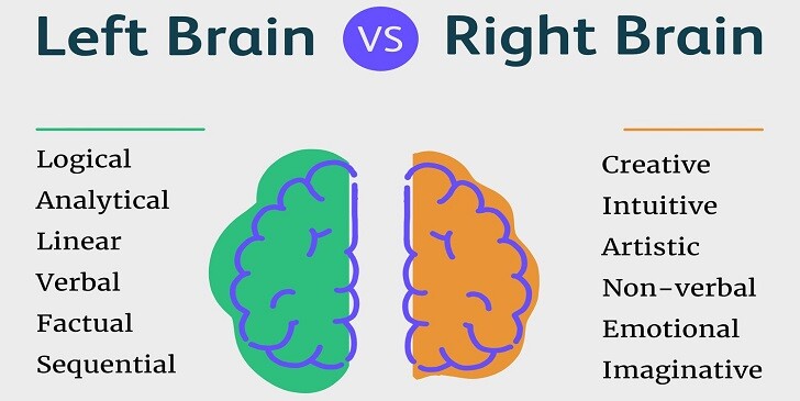 Are You More Left Brain or Right Brain? - Fun Quiz