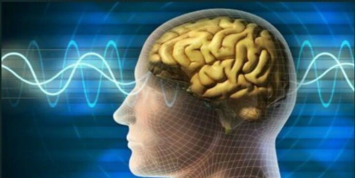 Brain & Memory Trivia Quiz: Test Your Mind Power