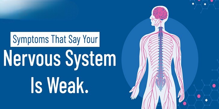 Nervous System Quiz: How Well Do You Know Your Nerves?
