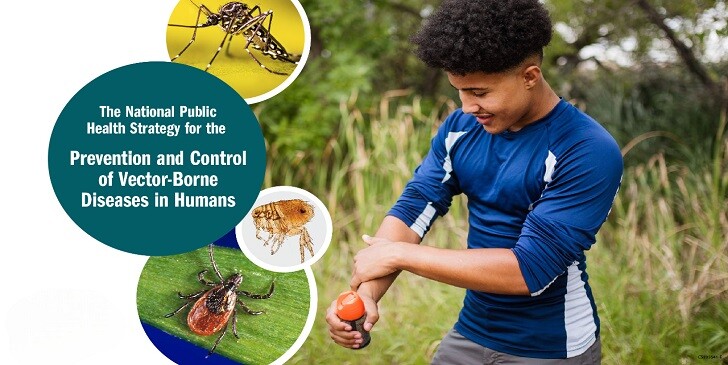 Vector-Borne Diseases Quiz: Do You Know the Carriers?