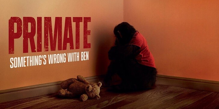 Which Primate Character Are You? - Primate Quiz