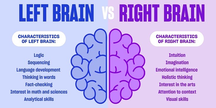 Are You Left-Brained or Right-Brained? - Quiz