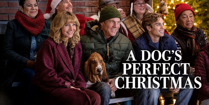 Which A Dog's Perfect Christmas Character Are You? - Quiz